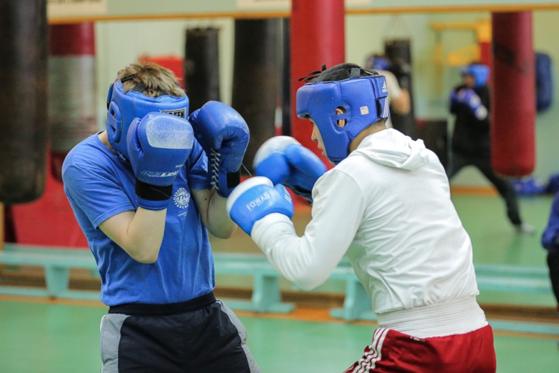 Боксеры Приморья выступят на чемпионате Европы и первенстве мира, сообщает www.primorsky.ru.