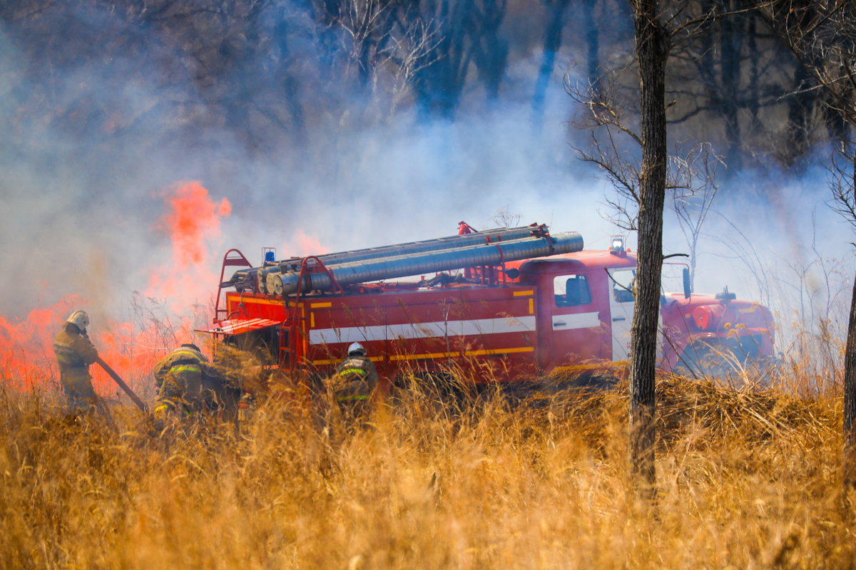 62 административных дела о нарушении пожарной безопасности возбуждено в Приморье, сообщает www.primorsky.ru.