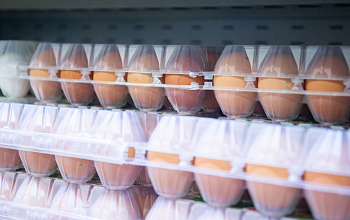 Господдержку производителям яиц увеличат в Приморье, сообщает  www.primorsky.ru.