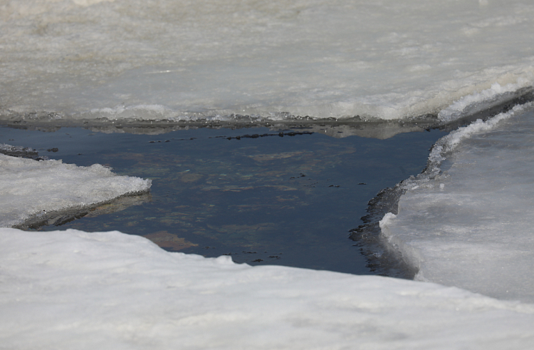 Спасатели Приморья предупреждают о смертельной опасности выхода на лед. ПАМЯТКА.