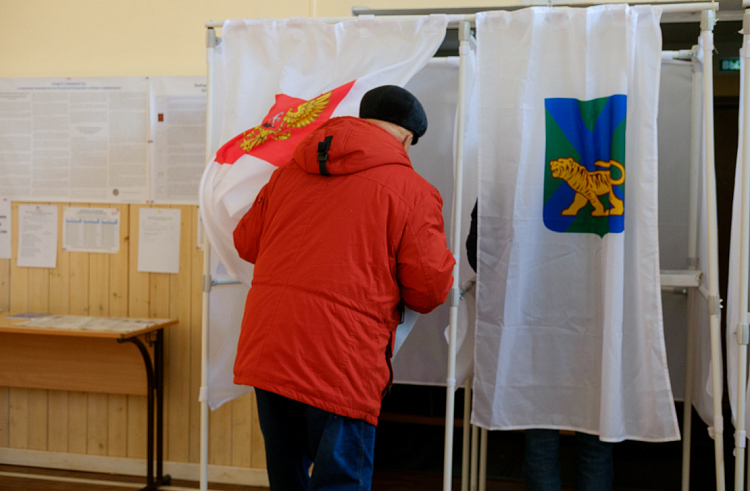 Более 3 тысяч общественных наблюдателей уже обучили в Приморье для работы на выборах Президента РФ, сообщает  www.primorsky.ru.