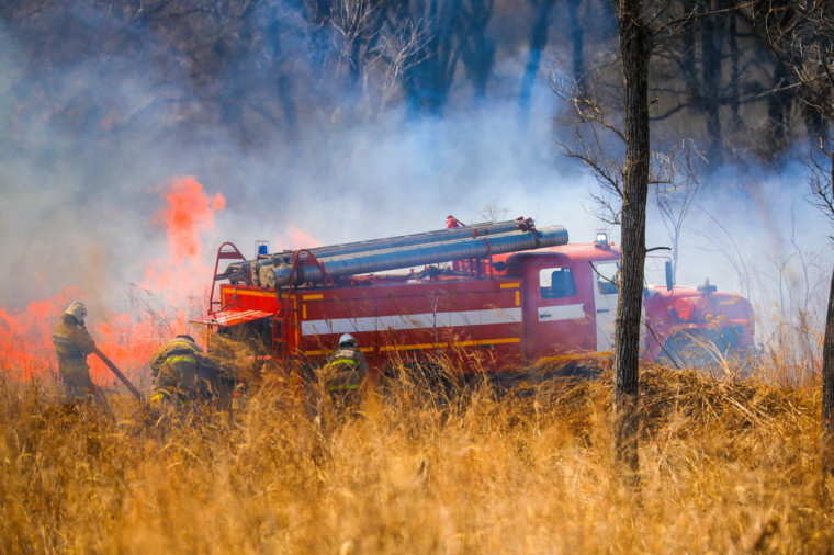 62 административных дела о нарушении пожарной безопасности возбуждено в Приморье, сообщает www.primorsky.ru.
